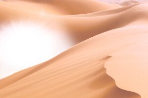 Arabian Retreat