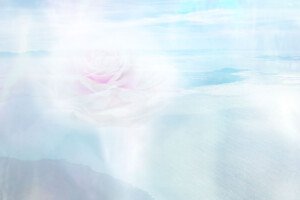Rose Temple
